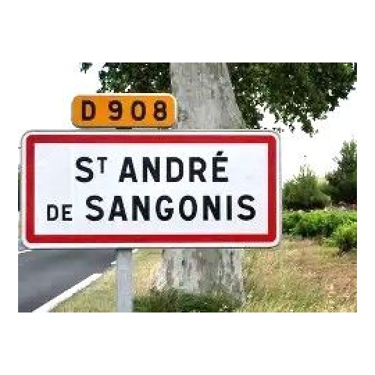  Christophe Gay immobilier : Terrain | SAINT-ANDRE-DE-SANGONIS (34725) | 0 m2 | 140 000 &euro; 