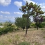  Christophe Gay immobilier : Maison / Villa | GIGNAC (34150) | 160 m2 | 624 000 &euro; 