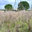  Christophe Gay immobilier : Terrain | SAINT-ANDRE-DE-SANGONIS (34725) | 0 m2 | 140 000 &euro; 