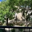  Christophe Gay immobilier : Maison / Villa | GIGNAC (34150) | 76 m2 | 139 500 &euro; 