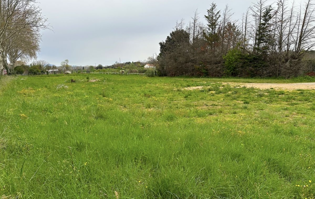 Christophe Gay immobilier : Terrain | POUZOLS (34230) | 0 m2 | 8 500 € 
