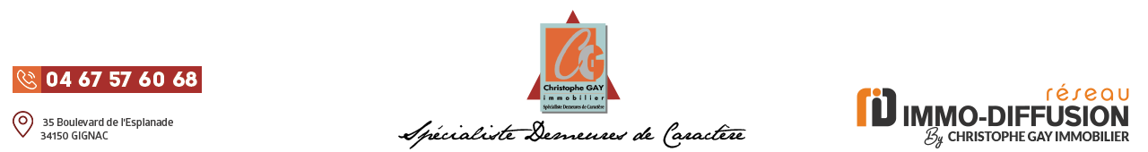 Christophe Gay immobilier